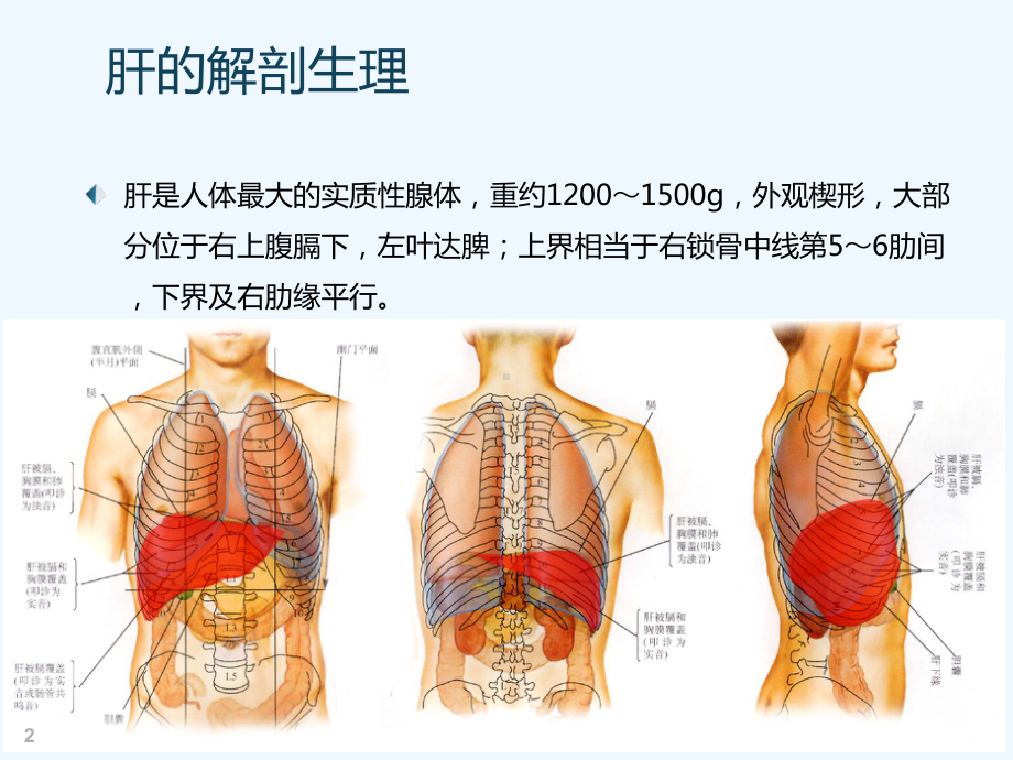 肝胆胰疾病病人护理课件.ppt_第3页