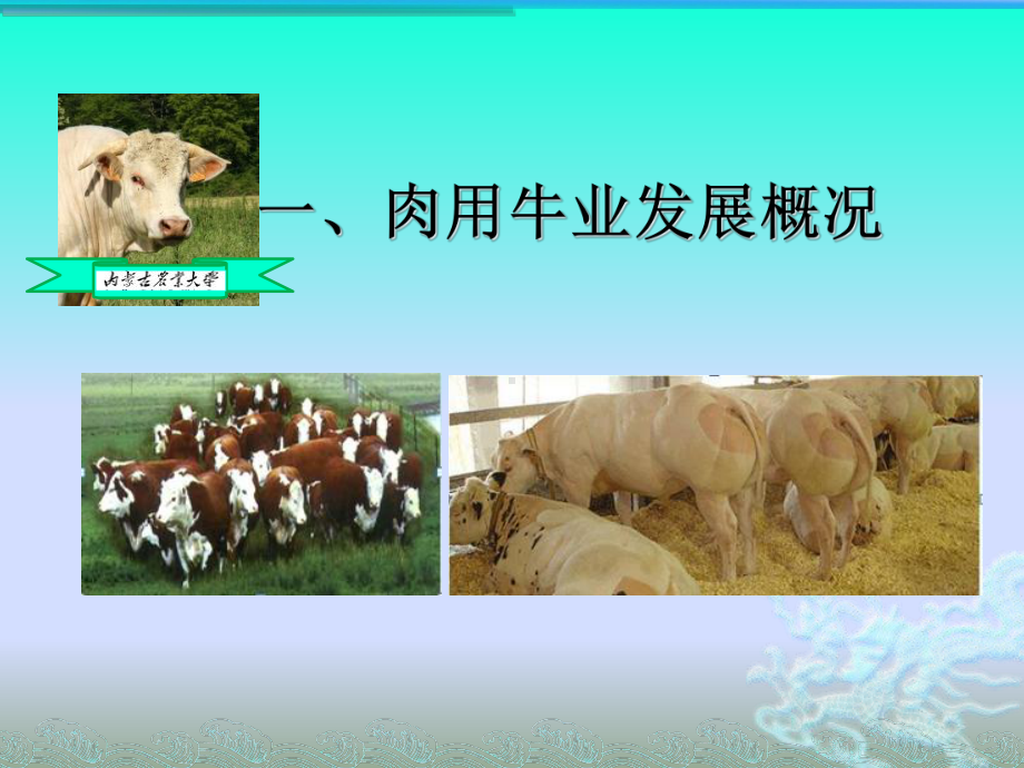 肉牛饲养管理技术课件.ppt_第3页