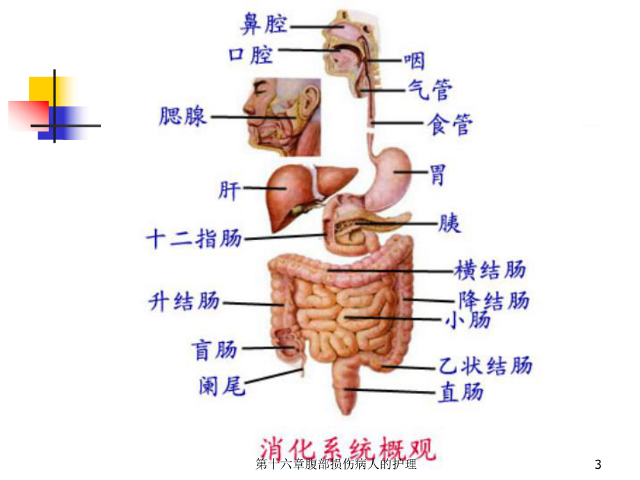 第十六章腹部损伤病人的护理课件.ppt_第3页