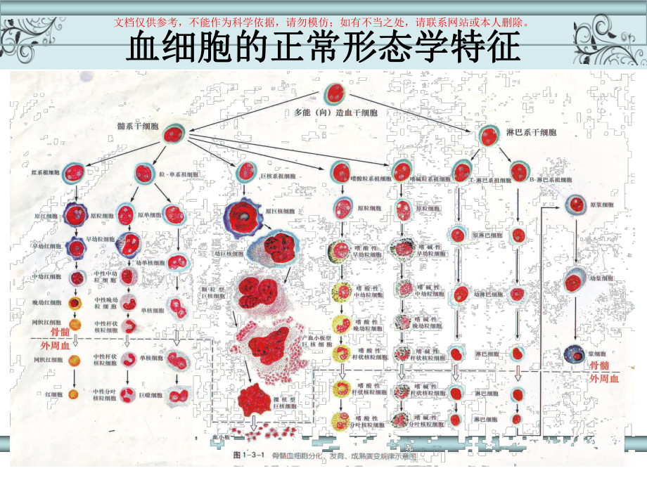 白血病疾病的常用实验检测培训课件.ppt_第2页