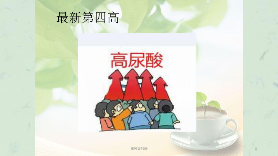 痛风高尿酸课件.ppt_第2页