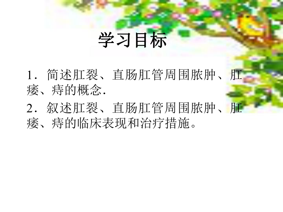 直肠肛管疾病课件-2.ppt_第2页