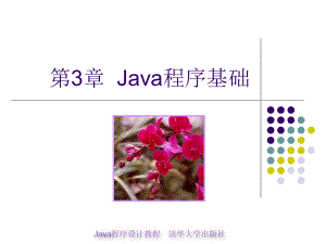 java程序设计教程第3章Java程序基础课件.ppt