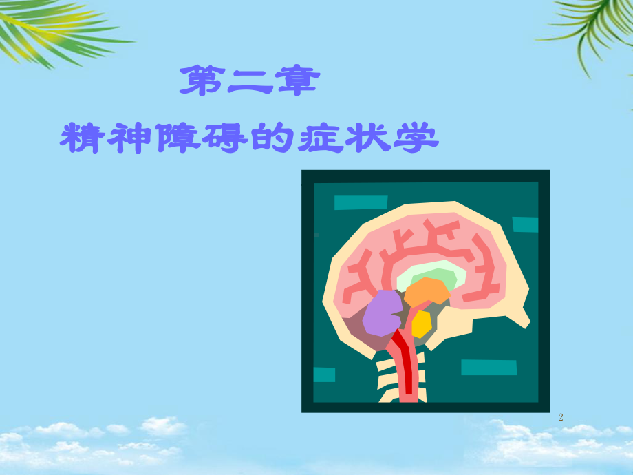 精神病学精神障碍的症状学课件.ppt_第2页