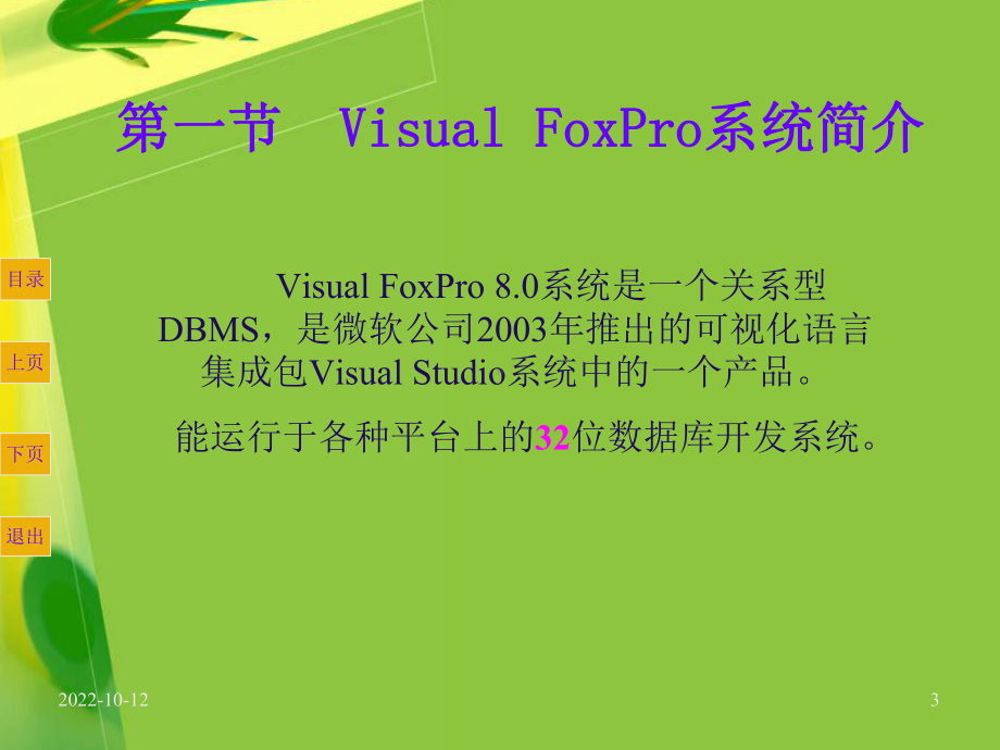 VFP-80-(第四版)课件-第二章解析.ppt_第3页