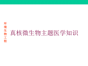 真核微生物主题医学知识培训课件.ppt