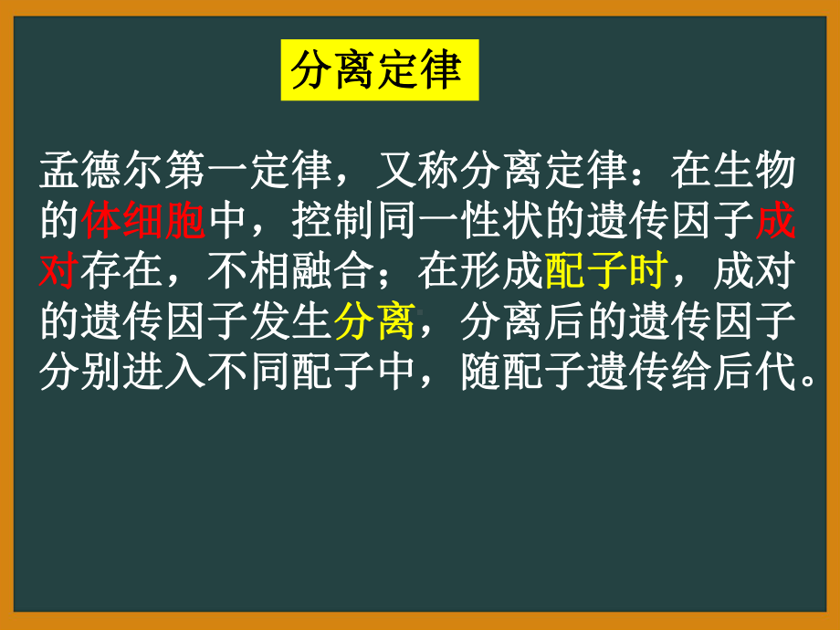 (新教材)孟德尔的豌豆杂交实验(二)优质课人教版1课件.ppt_第2页