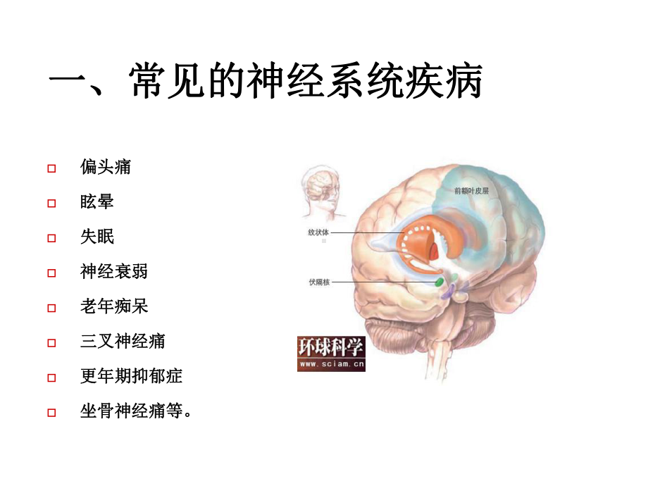 神经系统常见疾病12课件.pptx_第2页