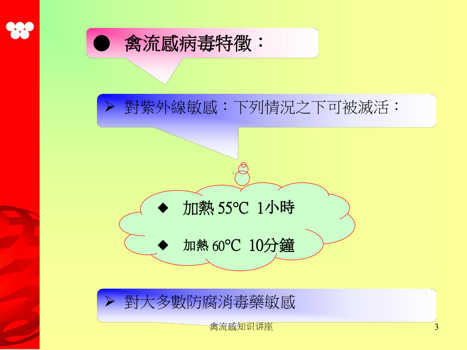 禽流感知识讲座培训课件.ppt_第3页