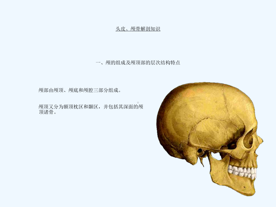 神经外科常见手术入路课件.ppt_第3页