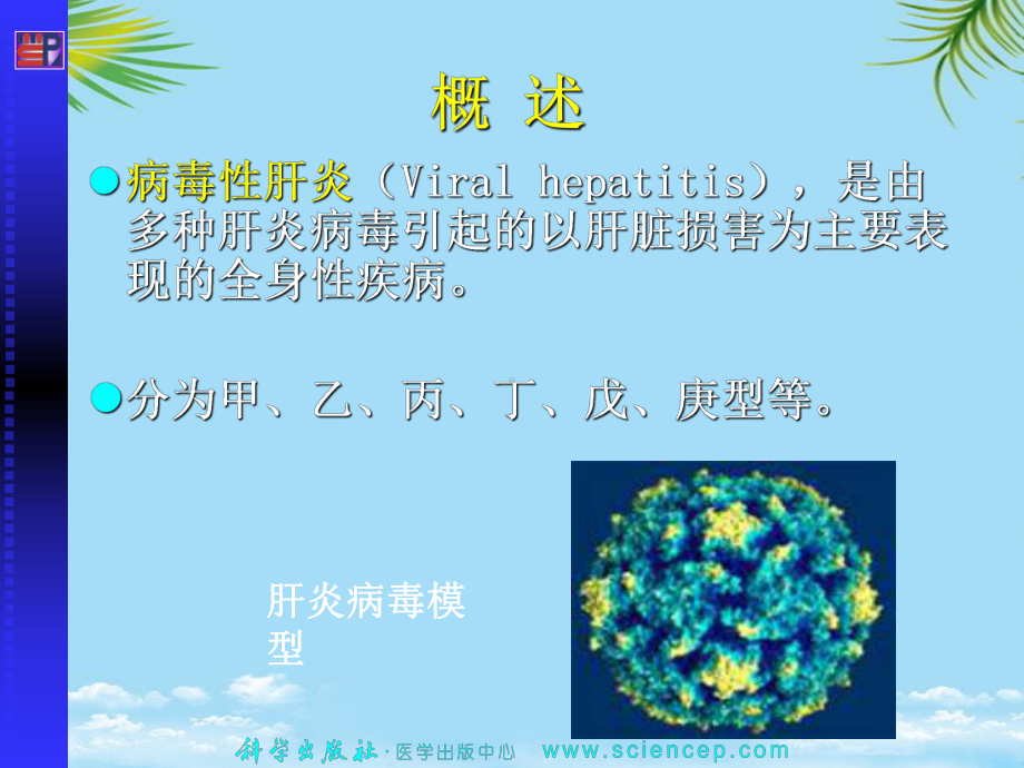 一节病毒性肝炎课件.ppt_第2页