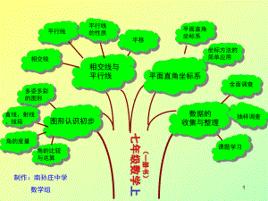 知识树图片大全教学课件.ppt