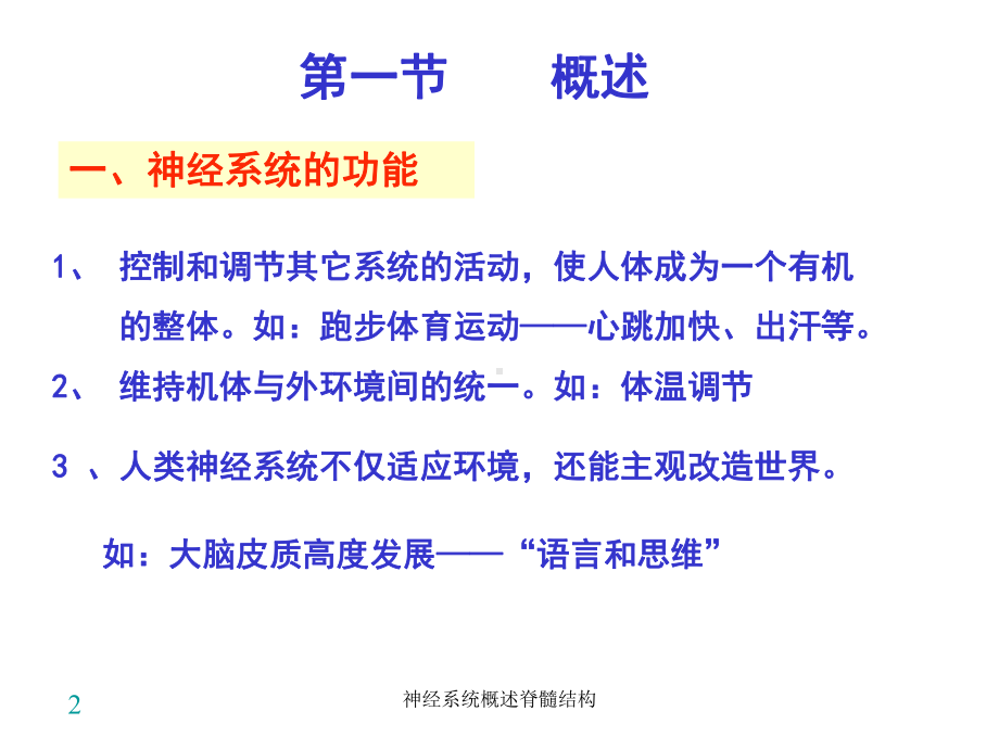 神经系统概述脊髓结构课件.ppt_第2页