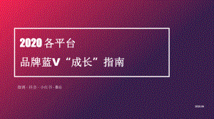 2020年各平台品牌蓝V“成长”指南课件.pptx