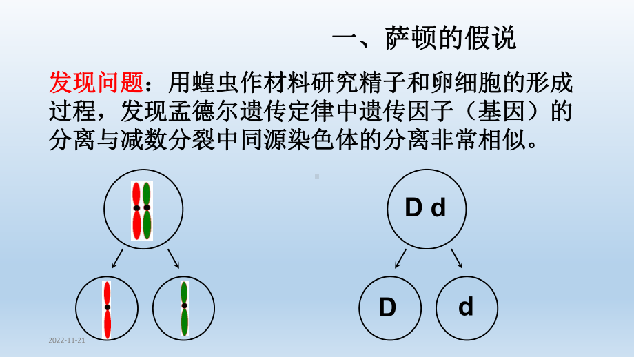 (新教材)高中生物《基因在染色体上》优质课件人教版1.pptx_第3页