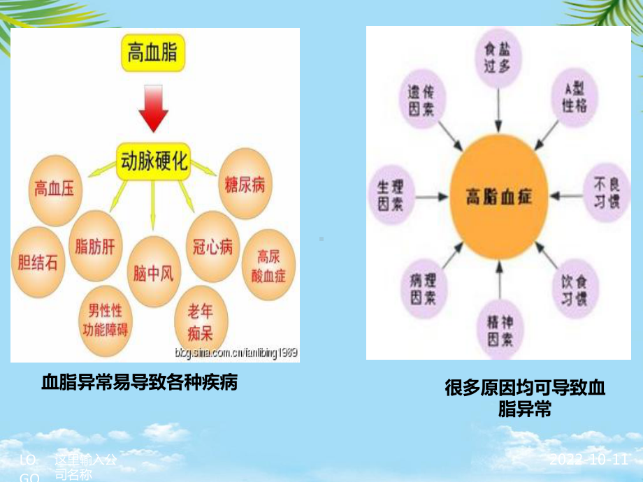 老年血脂异常的临床危害诊断及治疗全面版课件.pptx_第3页