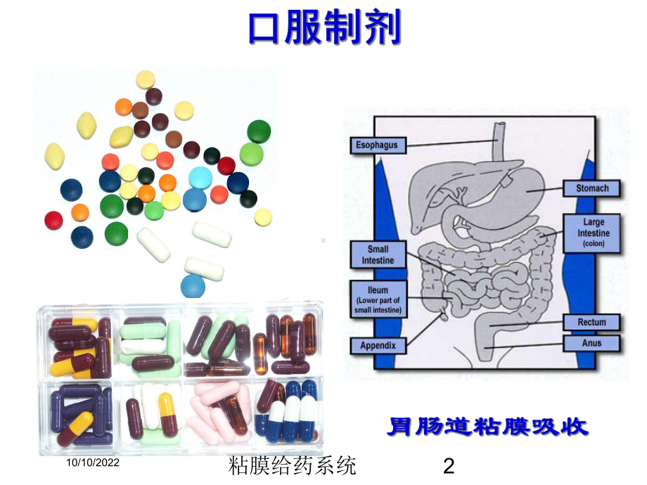 粘膜给药系统培训课件.ppt_第2页