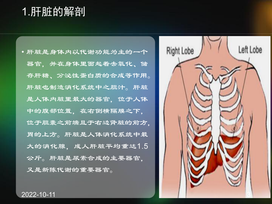 肝脏疾病的超声诊断参考课件.ppt_第3页