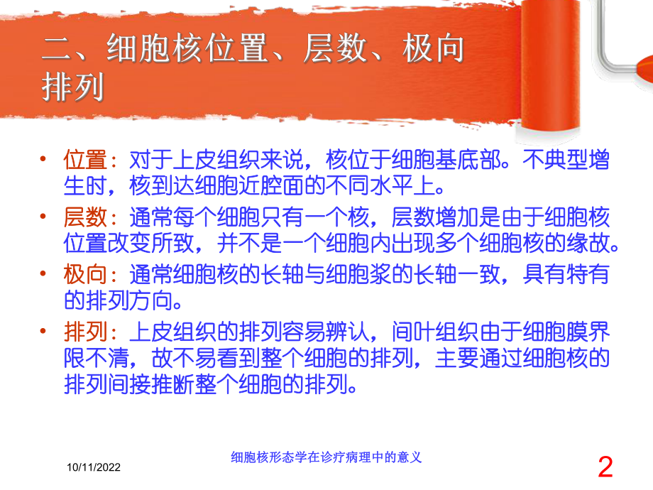 细胞核形态学在诊疗病理中的意义培训课件.ppt_第2页