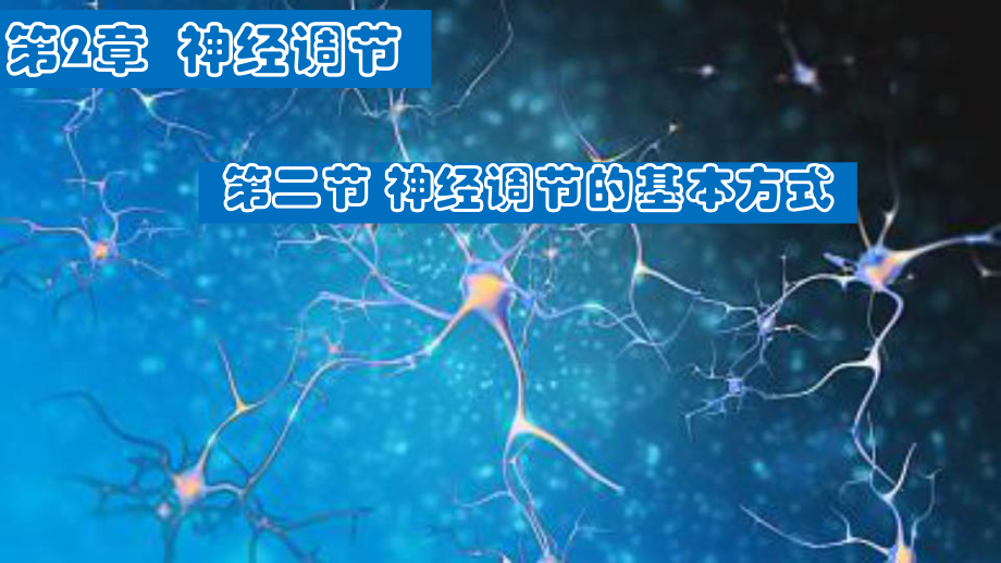 (新教材)神经调节的基本方式人教版课件1.pptx_第1页