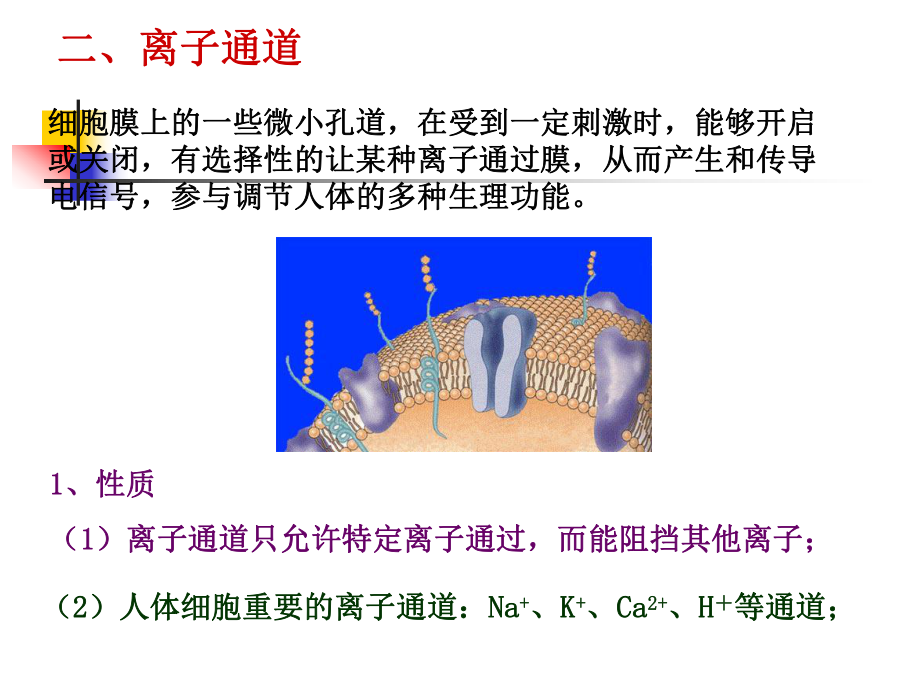 第六章-周围神经系统药物教材课件.ppt_第3页