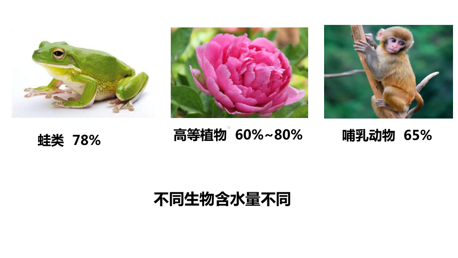 (新教材)细胞中的无机物人教版课件1.ppt_第3页