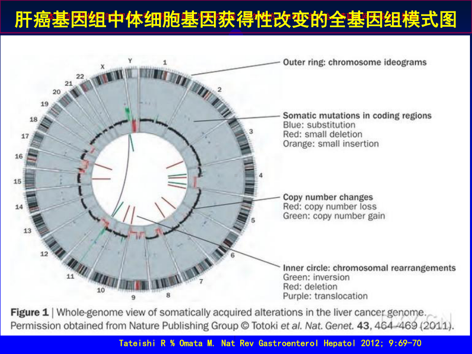 肝癌诊疗新进展培训课件.ppt_第2页