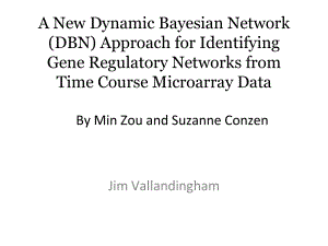 A-New-Dynamic-Bayesian-Network-(DBN)-Approach-for-Identifying-一种新的动态贝叶斯网络识别方法课件.ppt