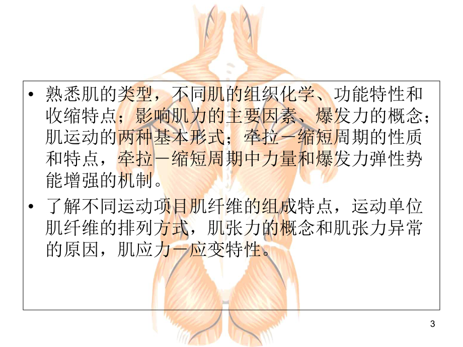 肌的运动适应机制医学课件.ppt_第3页