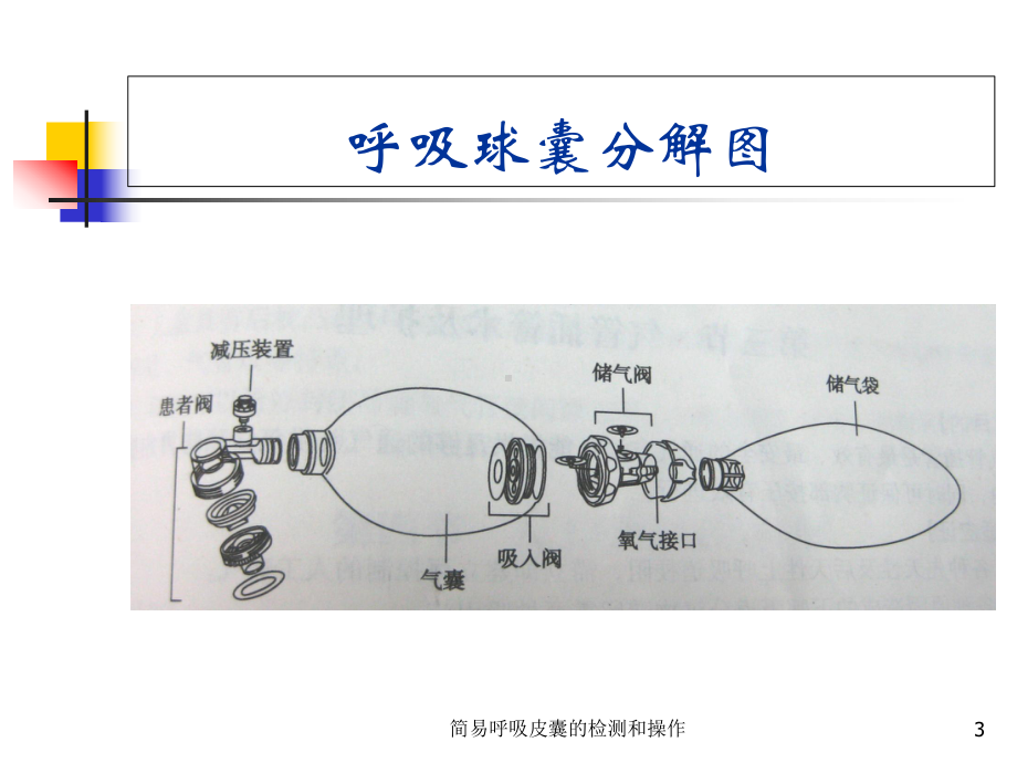 简易呼吸皮囊的检测和操作培训课件.ppt_第3页