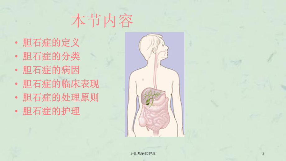 肝胆疾病的护理课件.ppt_第2页