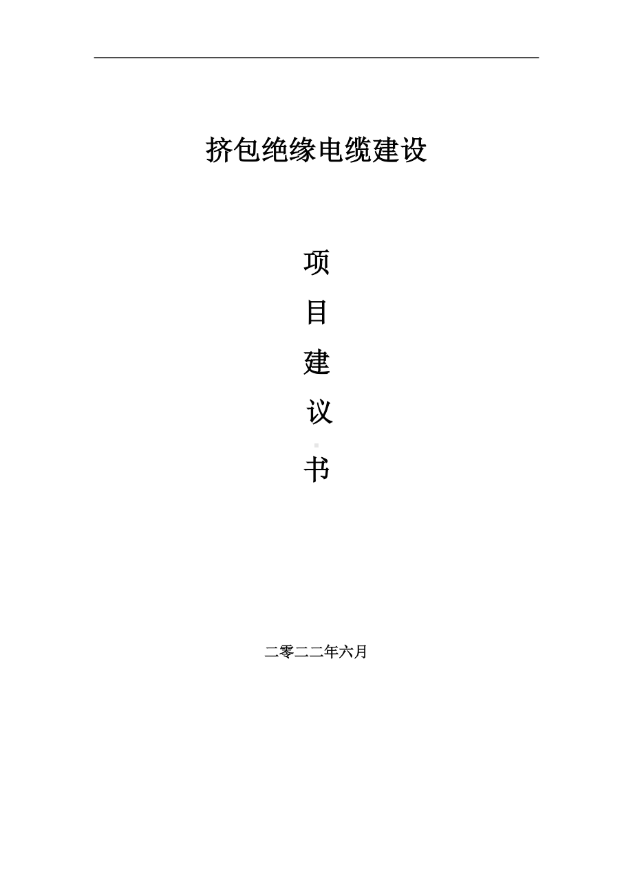 挤包绝缘电缆项目建议书（写作模板）.doc_第1页