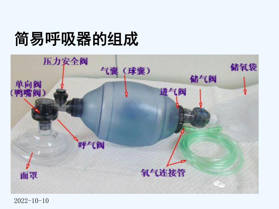 简易呼吸器(苏颖喆)课件.ppt_第3页