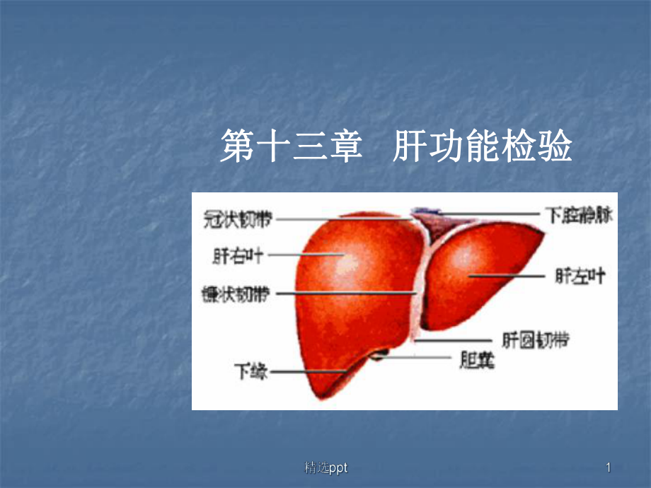 肝脏疾病检验课件.ppt_第1页