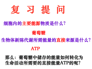 细胞呼吸公开课课件.pptx