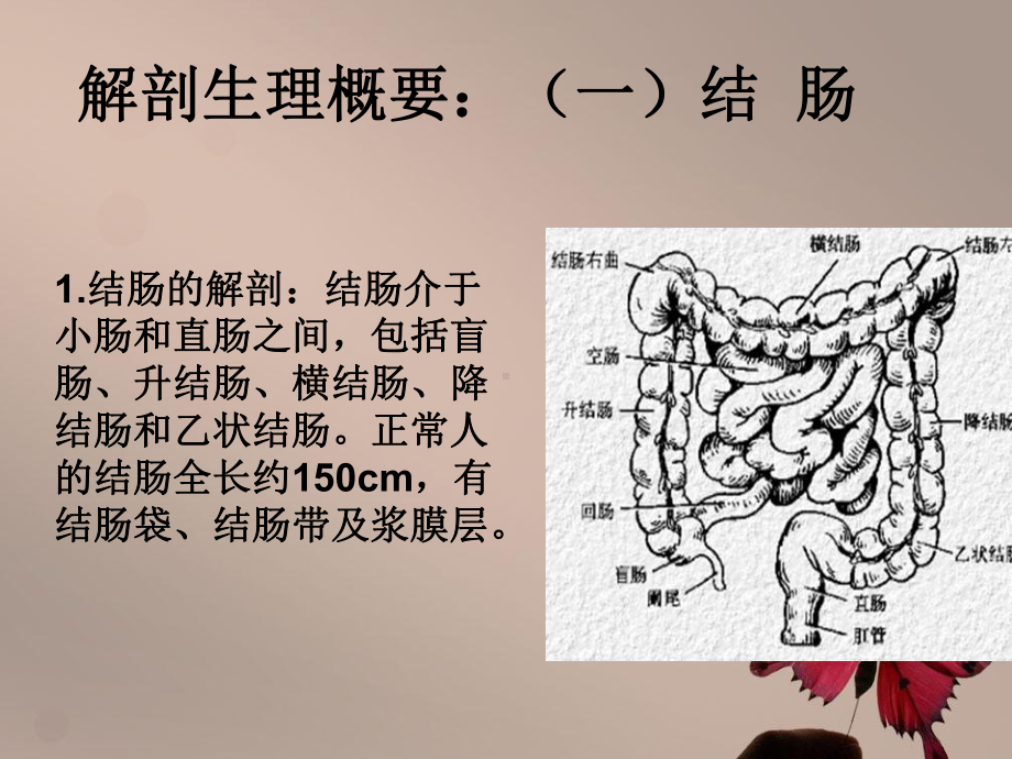 结直肠疾病病人护理课件.ppt_第3页