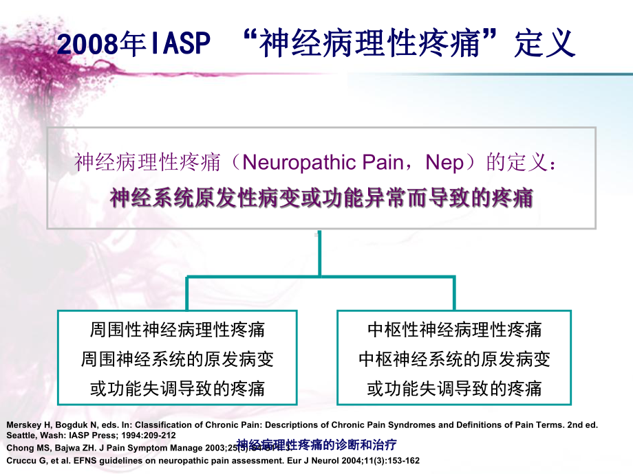 神经病理性疼痛的诊断和治疗课件.ppt_第3页