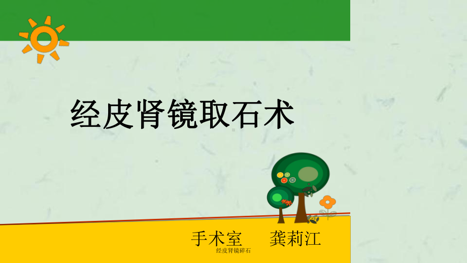 经皮肾镜碎石课件.ppt_第1页