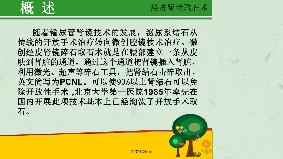 经皮肾镜碎石课件.ppt_第2页