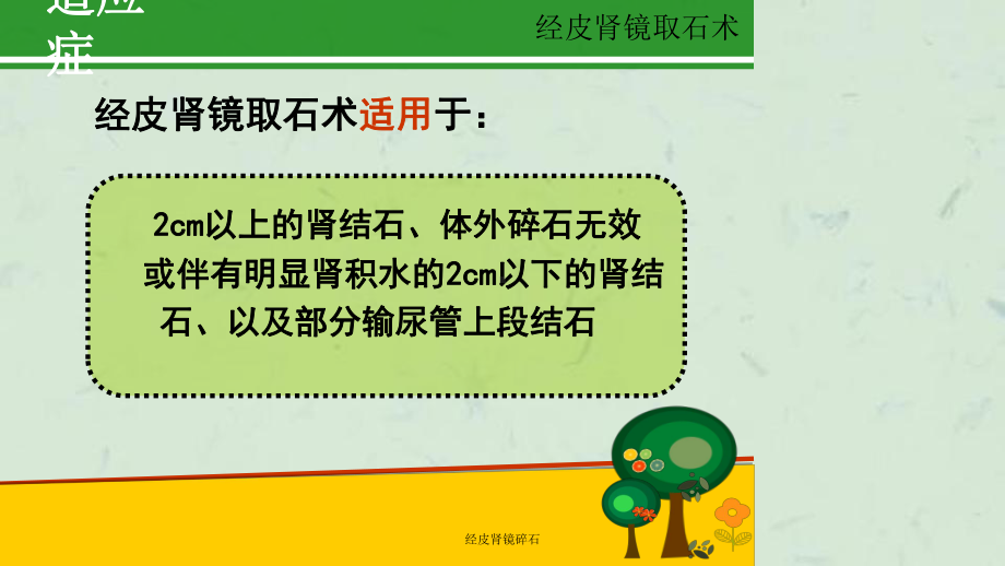 经皮肾镜碎石课件.ppt_第3页