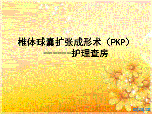 PKP护理查房医学课件.ppt