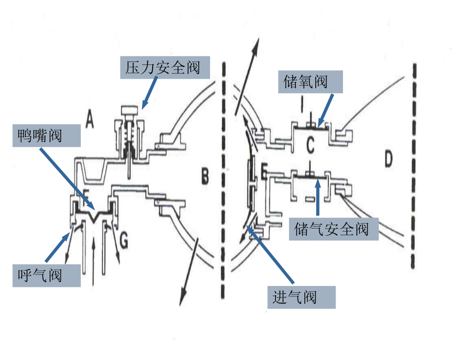 简易呼吸器除颤技术的临床应用完美课课件.pptx_第3页