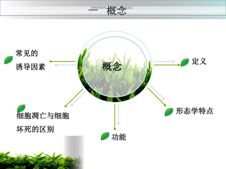 细胞凋亡和寄生虫感染课件.ppt_第3页