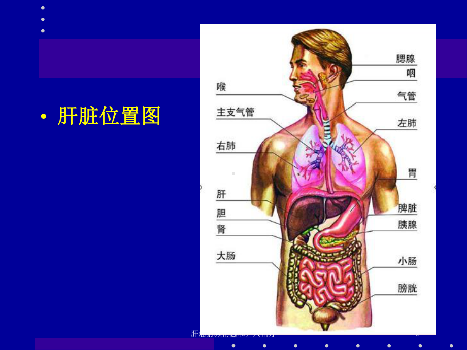 肝癌射频消融和介入治疗培训课件.ppt_第2页