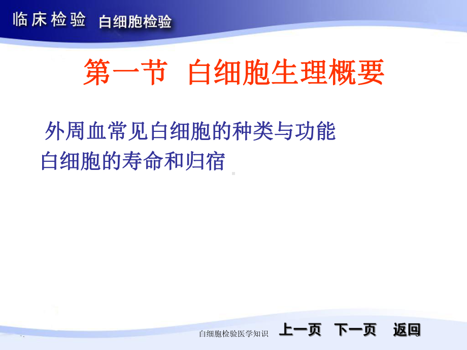 白细胞检验医学知识培训课件.ppt_第3页