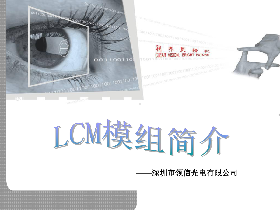 LCM模组简介培训课件.ppt_第2页