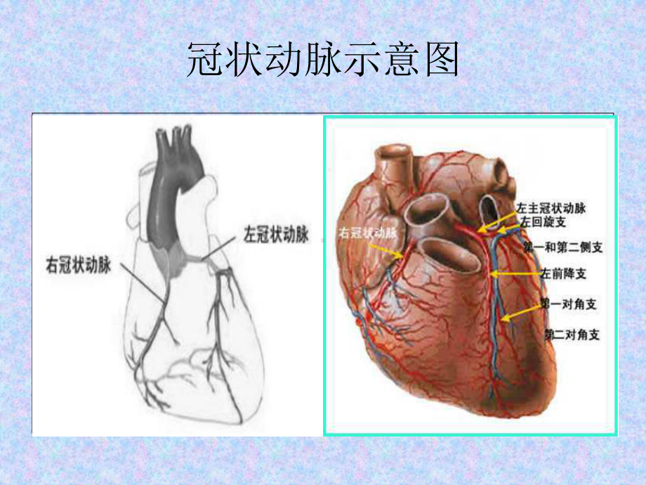 经皮冠状动脉介入治疗的手术流程和器材选择主题讲座课件.ppt_第1页