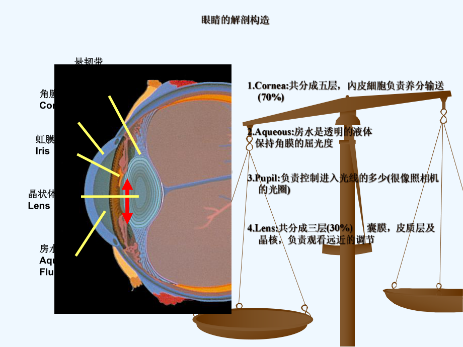 白内障成因与治疗课件.ppt_第2页