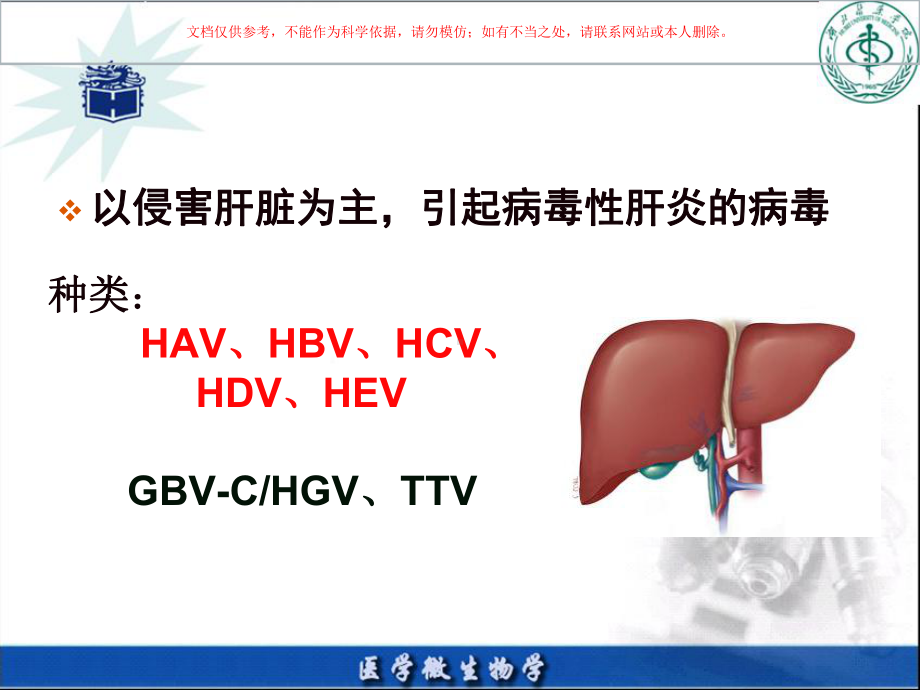 肝炎专业知识宣讲培训课件.ppt_第1页