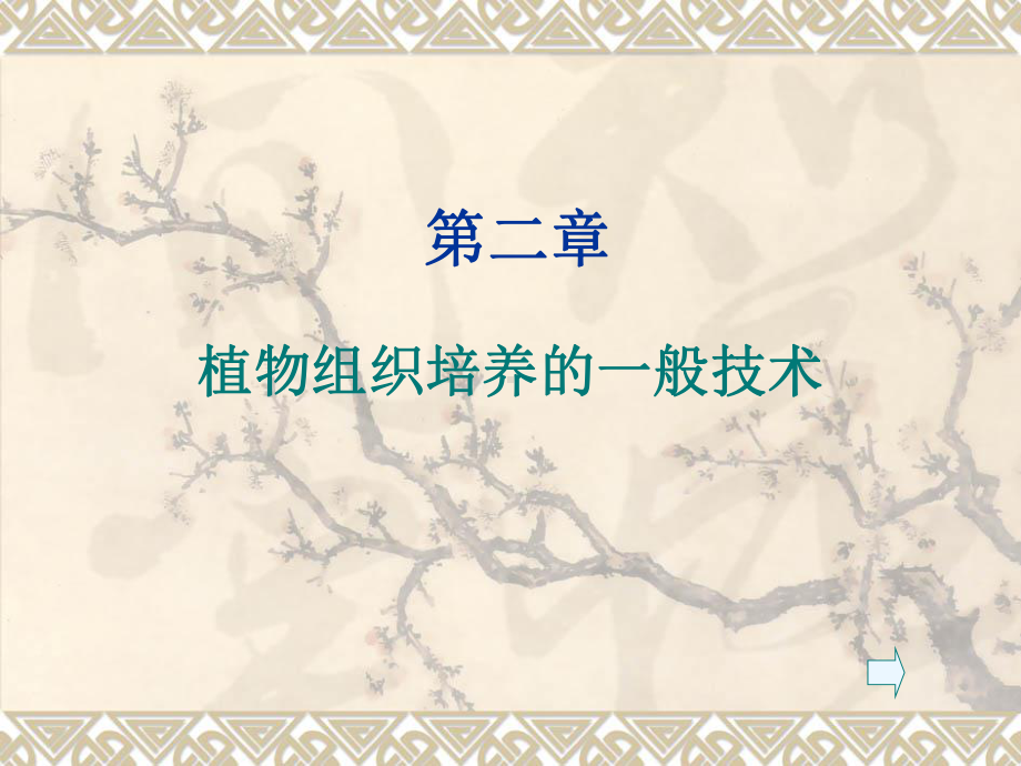 第二章-植物组织培养的一般技术课件.ppt_第1页